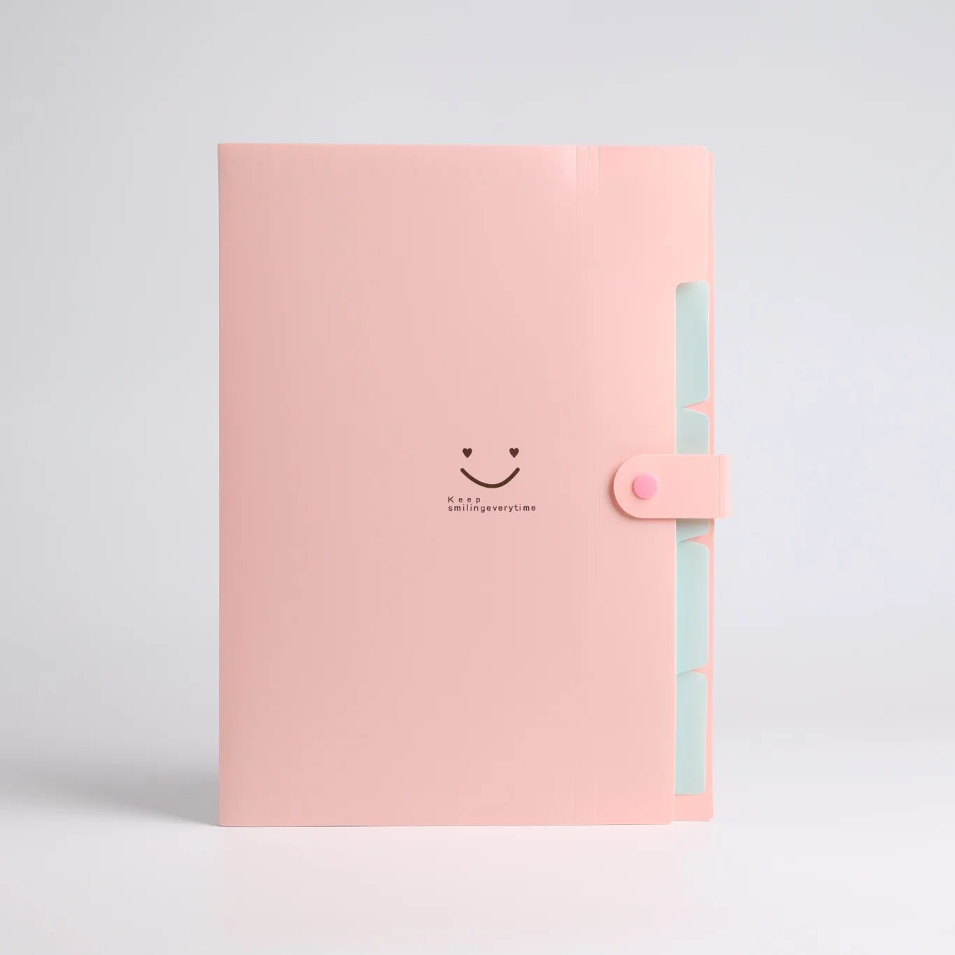 5page Classic Accordion File Folders - A4 Document Storage Bags with Plastic Material and Test Roll Holder - Durable and Expanda