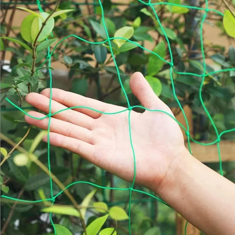 Garden Trellis Net Outdoor Plants Climbing Netting Anti Bird Plants Protection Mesh Cucumber Tomato Grape Vine Grow Net Holder