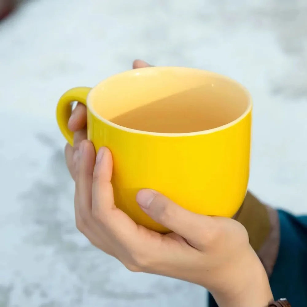 700ml Coffee Mug Large Capacity Ceramic Breakfast Oatmeal Milk Tea Cup Instant Noodles Bowl Novelty Gifts Best for Your Friends