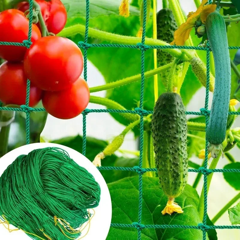 Garden Trellis Net Outdoor Plants Climbing Netting Anti Bird Plants Protection Mesh Cucumber Tomato Grape Vine Grow Net Holder