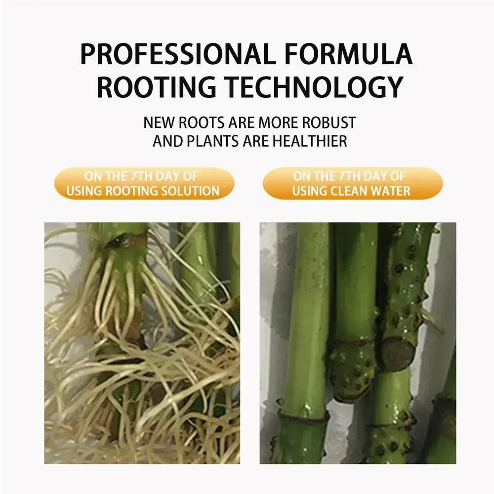 Fast Rooting Stimulator Plant Rapid Rooting Agent Root Stimulator for Plants Root Supplement for Houseplant Garden Supplies