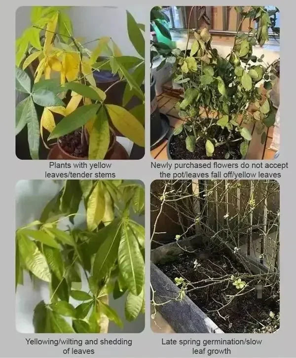 50ML Plant Nutrient Promote Sprouting Rapid Flowering Fast Potting Rooting Plant Nutrient Solution Supplement Garden Tool