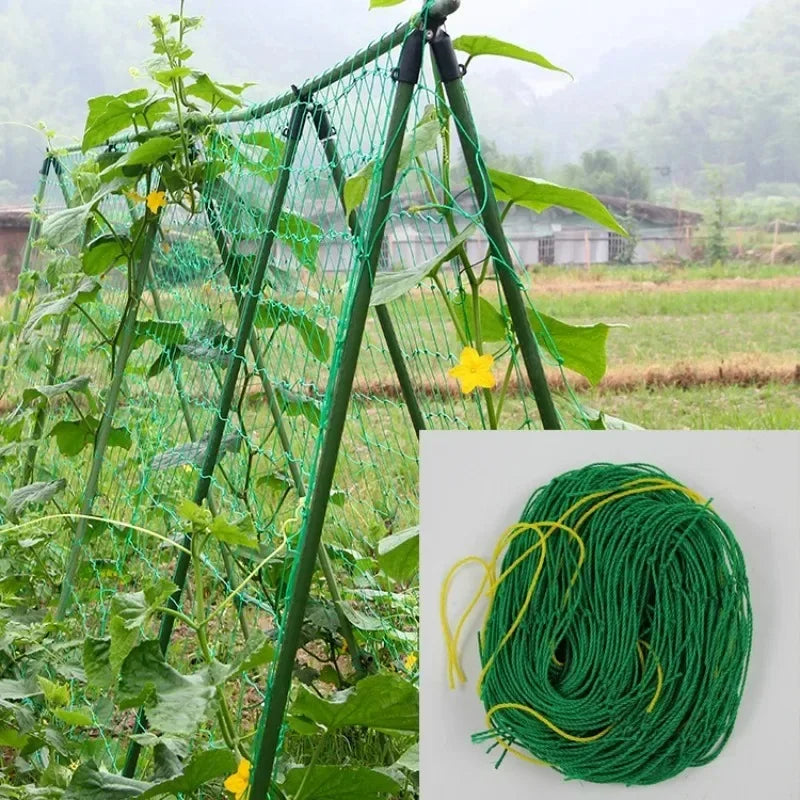 Garden Trellis Net Outdoor Plants Climbing Netting Anti Bird Plants Protection Mesh Cucumber Tomato Grape Vine Grow Net Holder