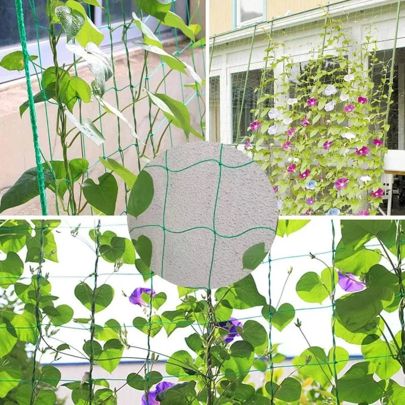 Garden Trellis Net Outdoor Plants Climbing Netting Anti Bird Plants Protection Mesh Cucumber Tomato Grape Vine Grow Net Holder