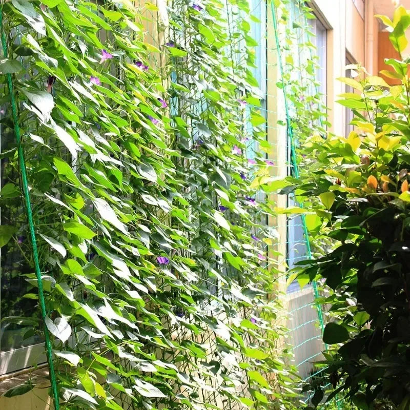 Garden Trellis Net Outdoor Plants Climbing Netting Anti Bird Plants Protection Mesh Cucumber Tomato Grape Vine Grow Net Holder
