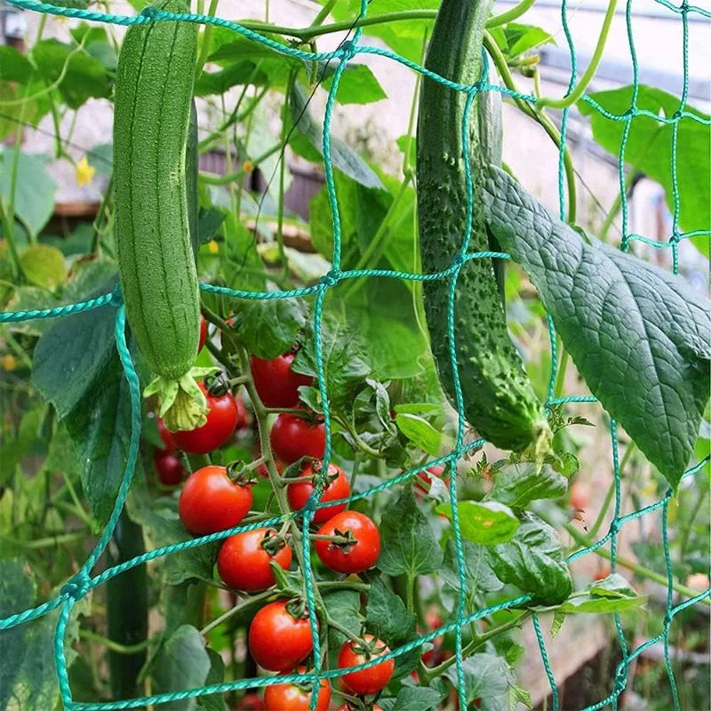 Garden Trellis Net Outdoor Plants Climbing Netting Anti Bird Plants Protection Mesh Cucumber Tomato Grape Vine Grow Net Holder