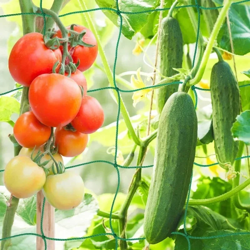 Garden Trellis Net Outdoor Plants Climbing Netting Anti Bird Plants Protection Mesh Cucumber Tomato Grape Vine Grow Net Holder