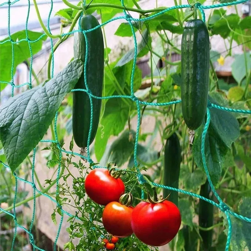 Garden Trellis Net Outdoor Plants Climbing Netting Anti Bird Plants Protection Mesh Cucumber Tomato Grape Vine Grow Net Holder