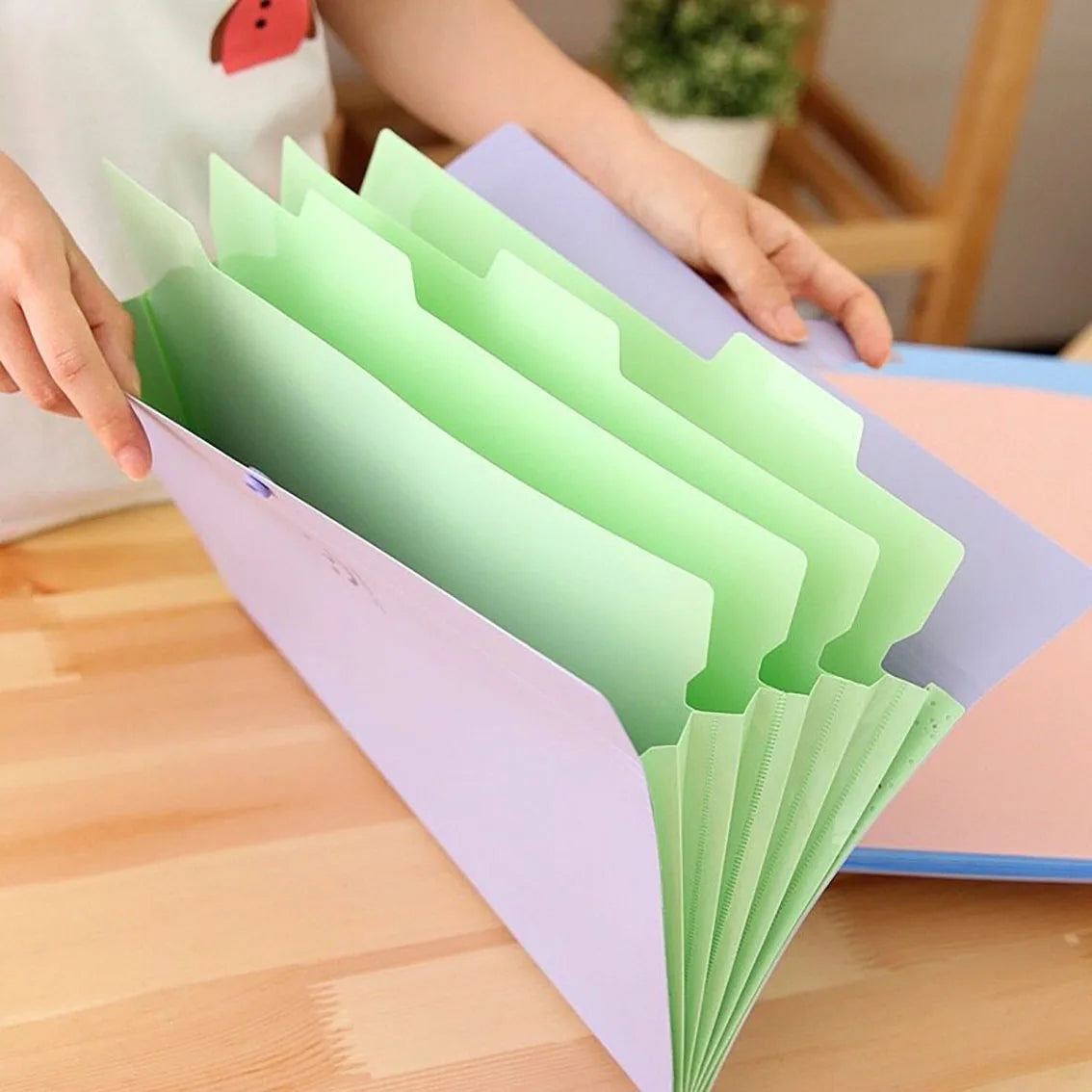 5page Classic Accordion File Folders - A4 Document Storage Bags with Plastic Material and Test Roll Holder - Durable and Expanda