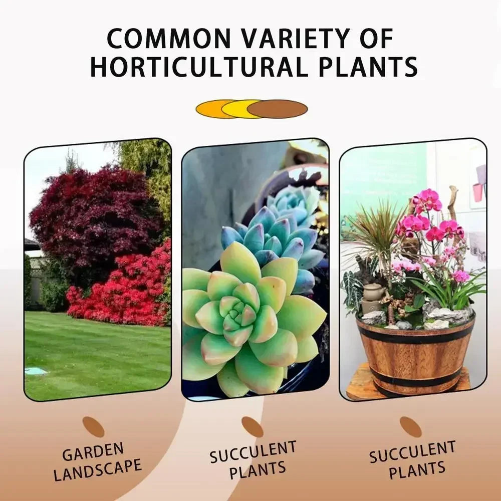 Fast Rooting Stimulator Plant Rapid Rooting Agent Root Stimulator for Plants Root Supplement for Houseplant Garden Supplies